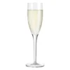Italiaans Champagneglas | Canaletto | 19,5 cl | set van 4