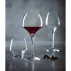 Open Up Universal Tasting Wijnglas Set240Cl