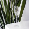 Italiaans Premium Fluit Glas | Vinoteque | 17,5 cl | Set van 6