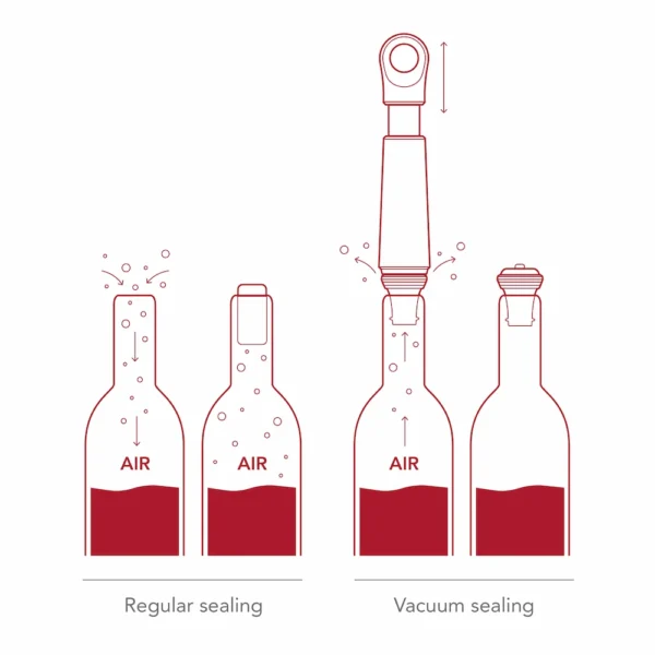 Loop Wine Saver | Graphite | Inclusief 1 Vacuum