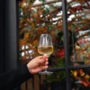 Italiaans Premium Chardonnay Witte Wijn Glas | Talismano | 55 cl | Set van 4
