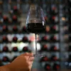 Italiaans Premium Bordeaux Rode Wijn Glas | Talismano | 70 cl | Set van 4