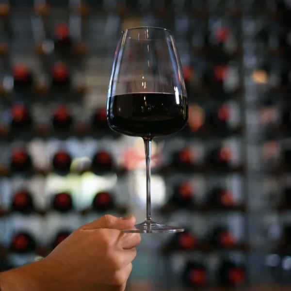 Italiaans Premium Bordeaux Rode Wijn Glas | Talismano | 70 cl | Set van 4