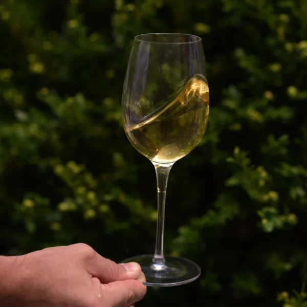 Italiaans Premium Fragrante Wijn Glas | Vinoteque | 38 cl | Set van 6