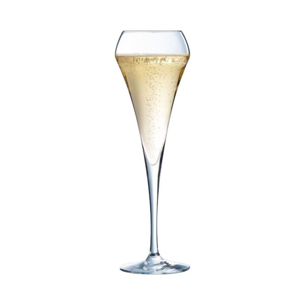 Champagneglas | Open Up | 20 cl | Set van 6