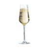Champagneglas | Intense | 21 cl | Set van 4