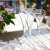 Champagneglas | Open Up | 20 cl | Set van 6