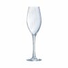 Champagneglas | Serena Lines | 20 cl | Set van 4