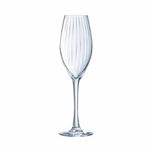 Champagneglas | Serena Lines | 20 cl | Set van 4