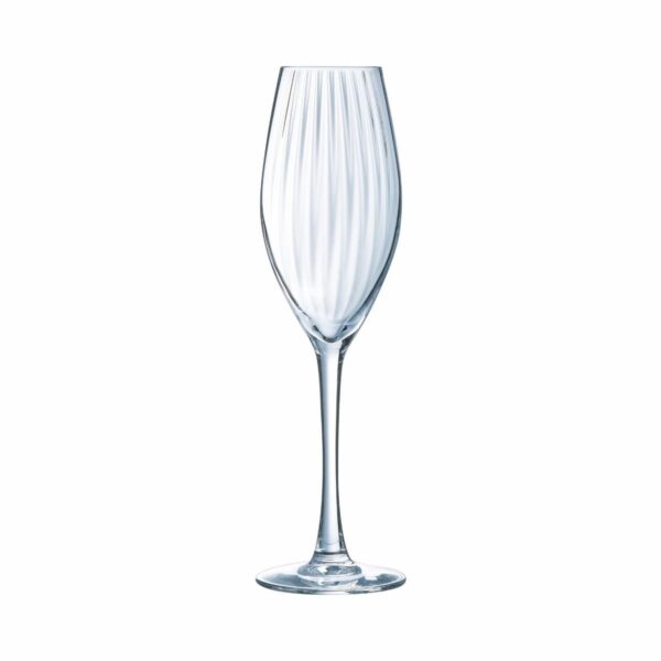 Champagneglas | Serena Lines | 20 cl | Set van 4