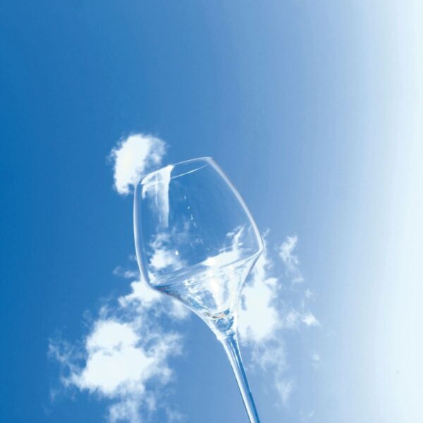 Wijnglas Universal Tasting | Open Up | 40 cl | Set van 2