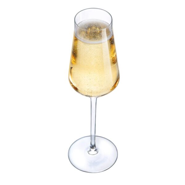 Champagneglas | Reveal Up | 21 cl | Set van 6