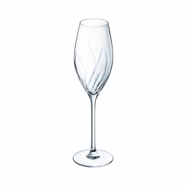 Champagneglas | Swirly | 24cl | Set van 4