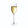 Champagneglas | Swirly | 24cl | Set van 4