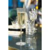 Champagneglas | Macassar | Cristal d'Arques | 17 cl | Set van 6