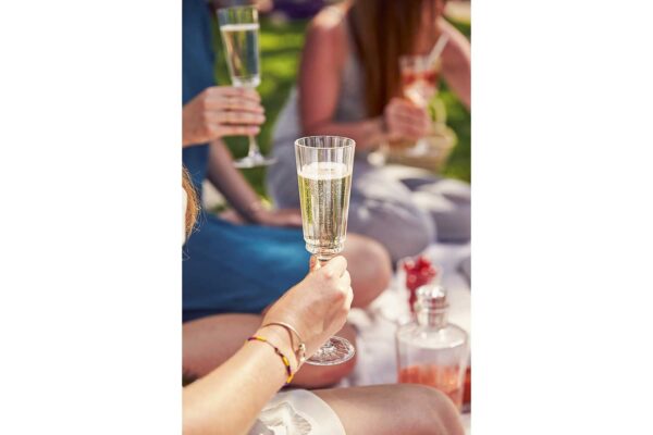 Champagneglas | Macassar | Cristal d'Arques | 17 cl | Set van 6