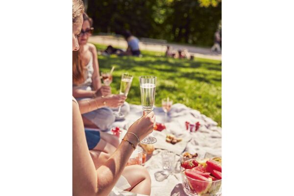 Champagneglas | Macassar | Cristal d'Arques | 17 cl | Set van 6