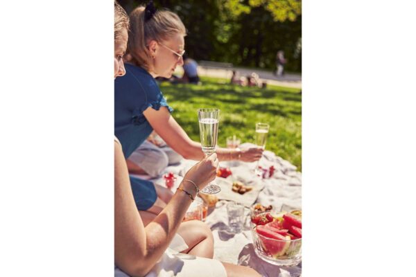 Champagneglas | Macassar | Cristal d'Arques | 17 cl | Set van 4