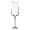 Champagneglas | Nexo | Rocco Bormioli | 24 cl | Set van 6